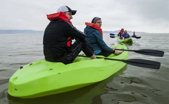 Birders rejoiced: Rain boosted