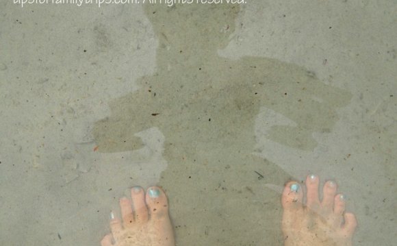 Swim in the Great Salt Lake