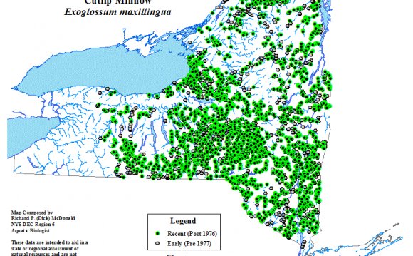 Fish atlas map for Cutlip