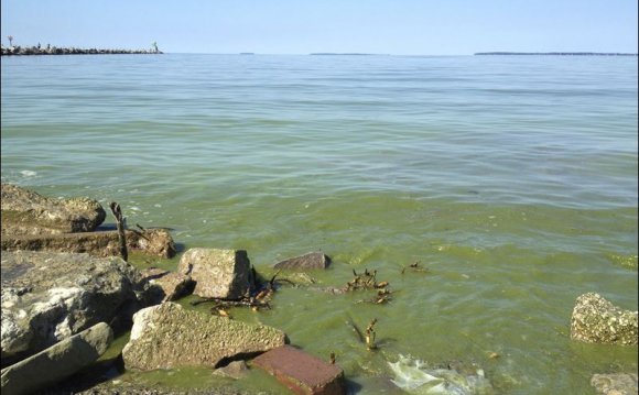 Lake Erie shoreline along