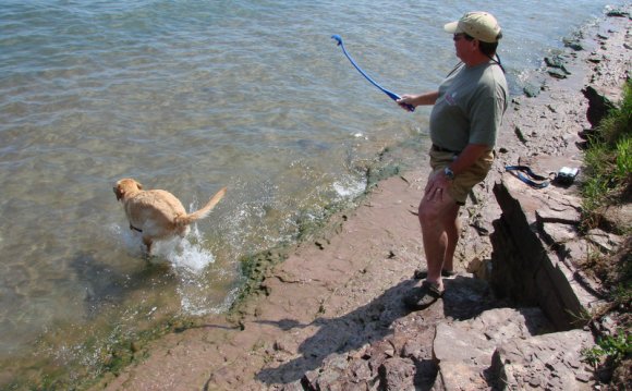 Blondie swimming in Lake