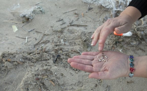 Pollutants in Great Lakes