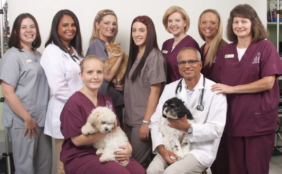 Great Lakes Animal Hospital