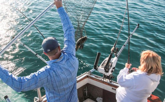 Central Lake Huron has a high