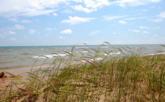 Lake Huron Shoreline Near