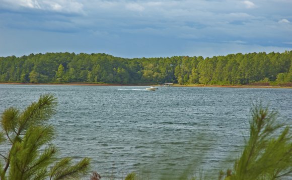 Lake Hartwell water