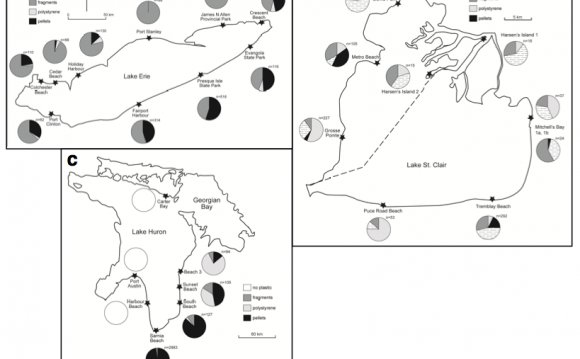 Microplastics abundance