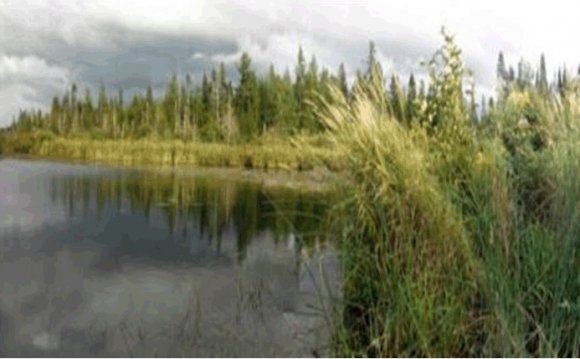 Bad River Band of Lake