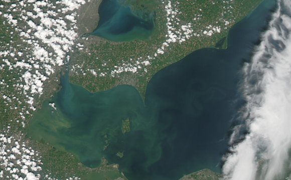 Lakeerie NASA, Lakeeriebloom