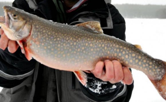 Ontario Speck-tacular