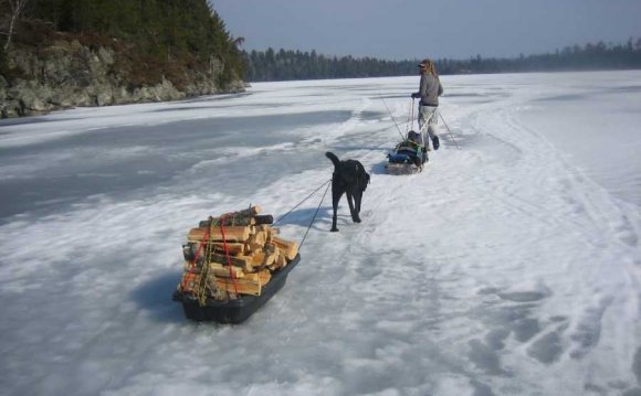 Lake superior fishing