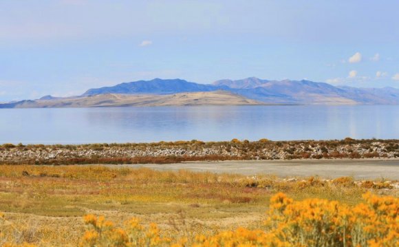 The National Park Road Trip