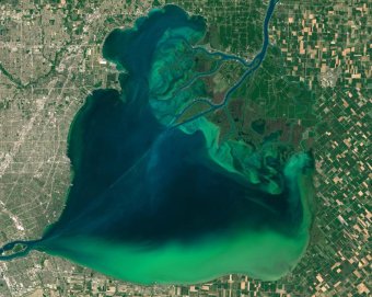 Algae Bloom in Lake St. Clair