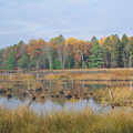 Fall colors at Wakeley Lake.
