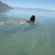 Swimming in the Great Salt Lake