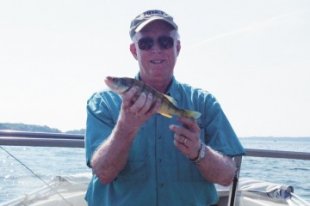 Fred Scott, of Lancaster, has fished Lake Erie for over 40 years and has caught some nice perch like this one.