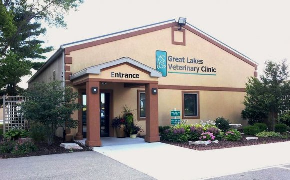 Great Lakes Veterinary Hospital