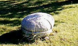 Smaller Kettle Concretion in Field at Kettle Point Ontario