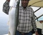 steelhead