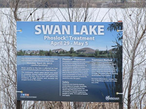 Swan Lake Phoslock Treatment