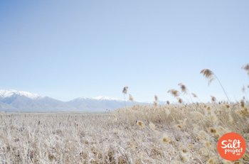 The Great Salt Lake Shorelines Preserve