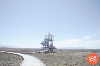 The Great Salt Lake Shorelines Preserve