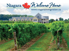 This is a picture of Niagara vineyards