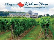 Vineyards This is a picture of Niagara vineyards