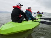 Great Salt Lake Bird Festival