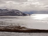 Great Salt Lake Brine Shrimp Cooperative