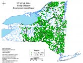 Lake Ontario tributaries