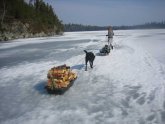 Lake Superior fishing regulations