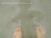 Swimming in Great Salt Lake