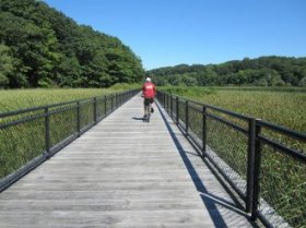 Turning Point Park boardwalk. [PHOTO: Ryan Green]