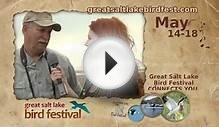 17th Annual Great Salt Lake Bird Festival 3