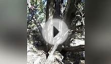 1882 Winchester rifle found in Great Basin National Park