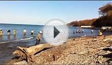 Amazing Steelhead Trout Run, Lake Erie, Fairview