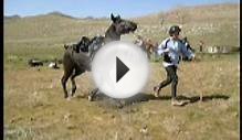 Antelope Island Endurance Ride 2008 -- Great Salt Lake, UT