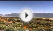 Antelope island/Great Salt Lake