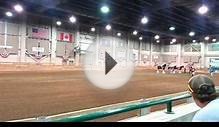 Best of Breed Michigan Great Lakes International Draft Show