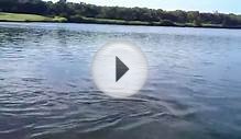 Carbrook Golf Club Shark in the Lake