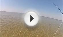 Carp Fly Fishing In Lake Huron