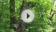 Crawford Lake Ontario Canada