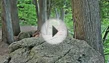 Crawford Lake Ontario Canada - Fan Commercial