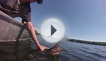 Fishing Bass & Pike - Lake near Stirling Ontario