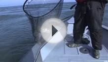 Fishing for Lake Trout in Ontario