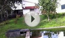 Great property for sale near castelo do bode lake, central
