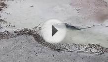 Great Salt Lake
