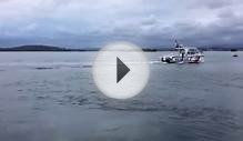 Great White Shark Sighted in Lake Macquarie