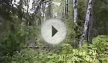 Gunflint and Lake Superior Railroad 1997